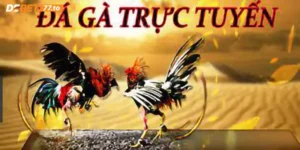 da-ga-truc-tuyen