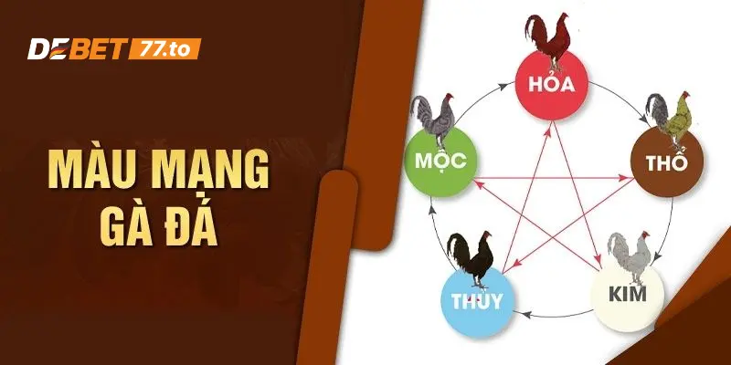 Màu mạng đen - Màu mạng gà đá hot nhất