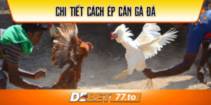 cach-ep-can-ga-da-debet