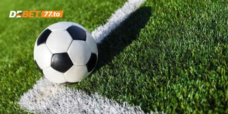 Biết phân tích sự biến động của odds