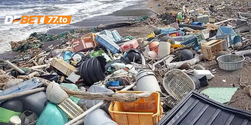 Chiến dịch thu gom rác thải